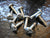 10 - Cargo Trailer Exterior Sheet Metal Panel Screws for Aluminum or Steel skin (194336-LOT10)