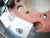 12-1/4 x 3-3/8" Dexter Pair Hydraulic Brake Backing Plate Trailer 10000 10K Axle (23-410-411)