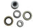1-8x6.5 Drum 8 Lug 9/16" Studs w 12" Left Side Dexter Never Adjust Backing Plate (821913-B-FSA-DEX-L)
