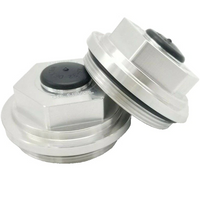 Two - 2-7/8" BILLET ALUMINUM Oil Cap Fit Dexter 21-35 Trailer Axle Bearing Hub 6K-8K (21-35 Billet-KITX2)