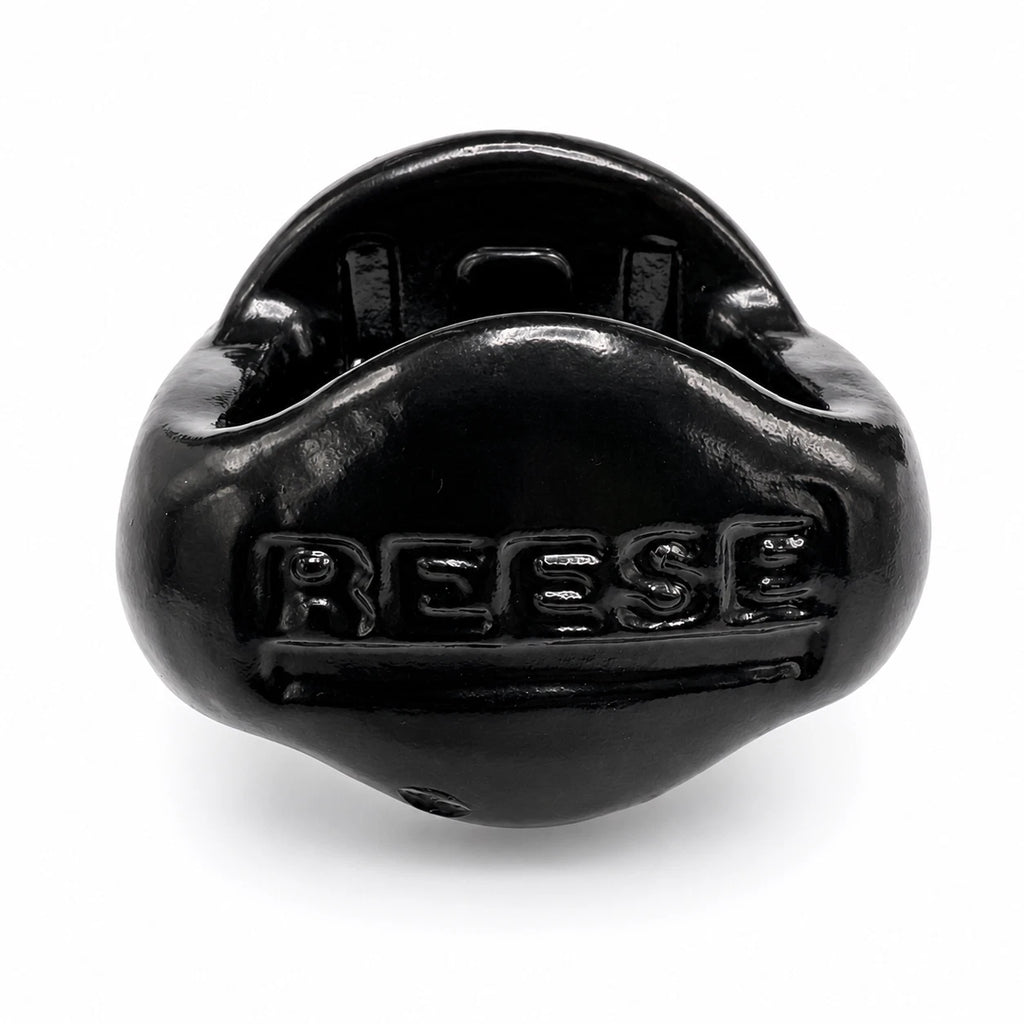 Reese Elite Series Gooseneck Hitch Head Accessory, Kit, Gooseneck Hitch Ball (30137-PIBK)