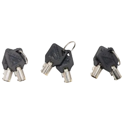 Trimax Trailer Tongue Lock Kit - Keyed Alike Coupler, Latch and Receiver Locks - Universal Fit (79900301)
