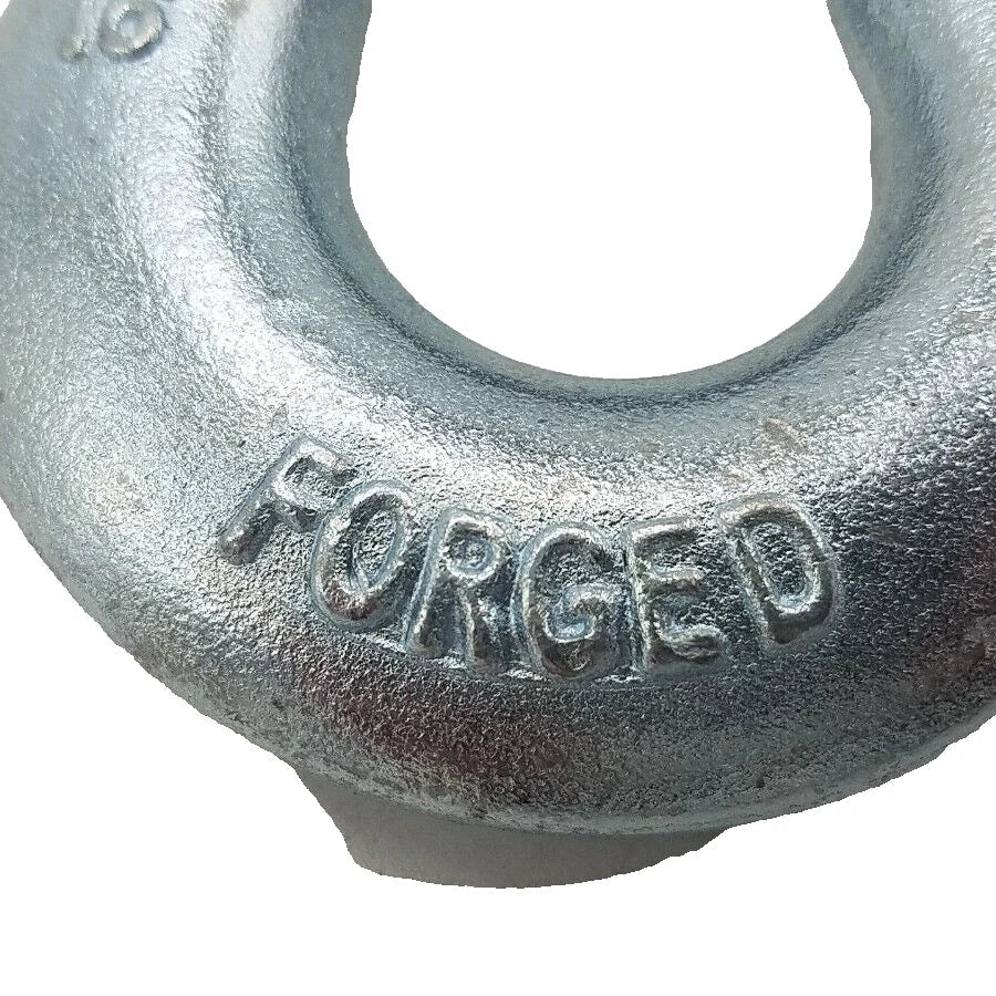 Brophy, Clevis Slip Hook, 5/16", W/Latch for HL34, 11,700 lb, Zinc, Grade 43 (CH04)