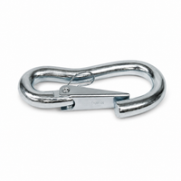 Brophy Safety Chain Hook with Latch - 5,500 lb Capacity - Fits 5/16" Chain (TSS3)