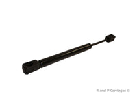Gas Spring SPD-GSNI-5000-40 or LGP6-100-40 Strut Prop Rod RV Camper Hatch Door