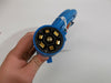 7 Way Plug Pre-Wired Trailer ARTIC BLUE Cord Junction Box 8 Ft Wiring Cable Cold Weather (J-JB-8FT)