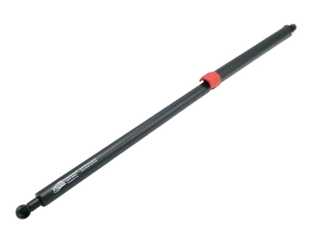 LOCKING Gas Spring SPD-GSNI-3100-200 or LGP10L-280-200 Strut Prop Rod RV Camper Door (LGP10L-280-200)