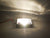 12 Volt Interior Dome Light with Switch Incandescent RV Trailer Camper Interior  (A-500)